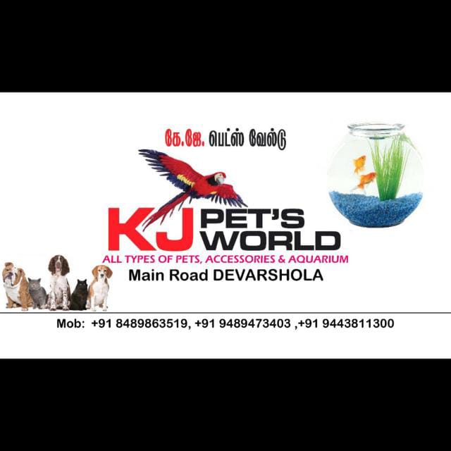 K J PET'S WORLD DEVARSHOLA